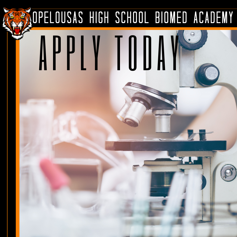 Apply to a Academy of Biomedical Sciences Student